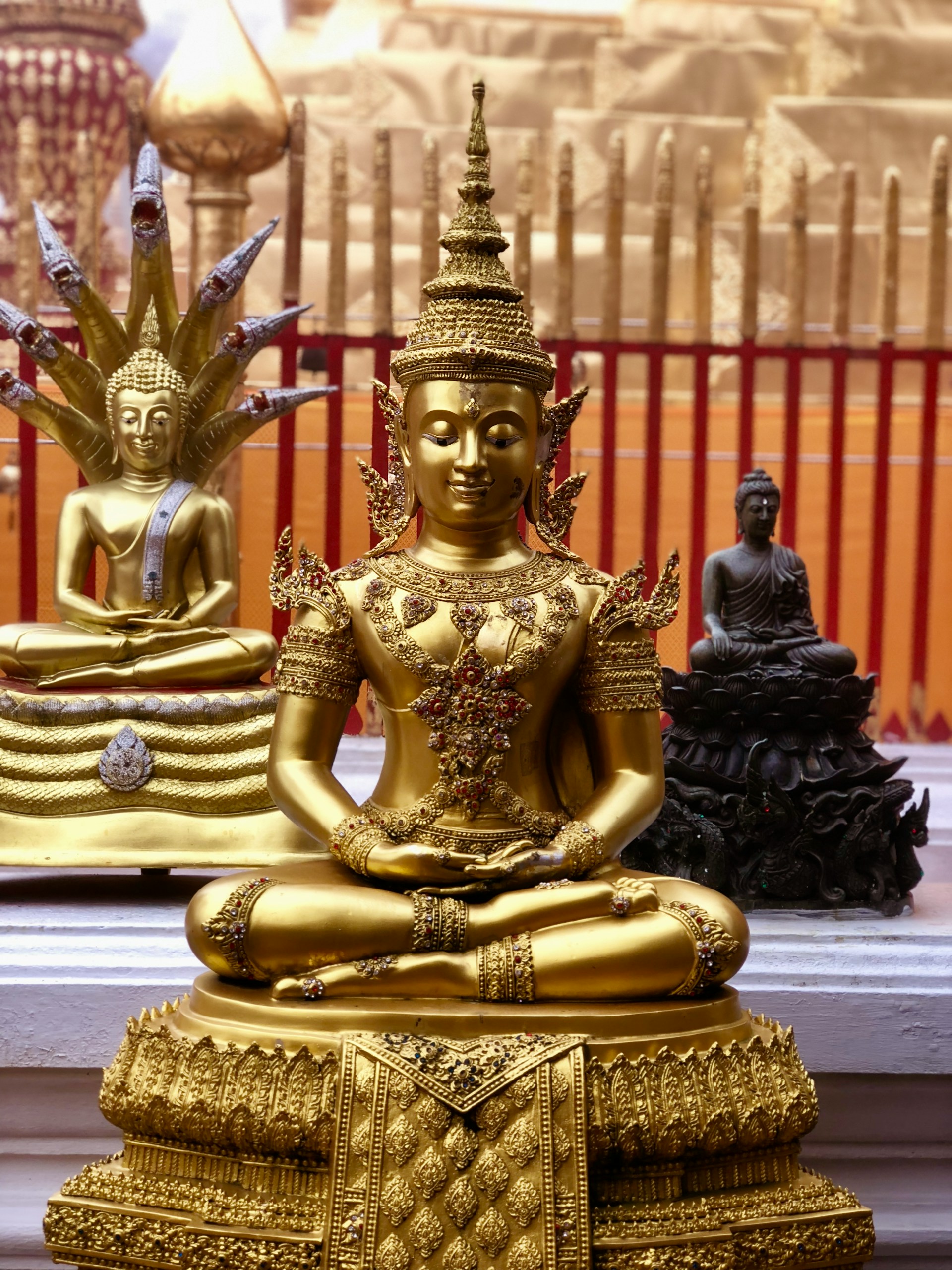 buddha startseite